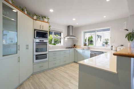 Photo of property in 51 Dinsdale Road, Dinsdale, Hamilton, 3204