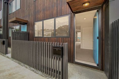 Photo of property in Aniva Terrace, 32 Ferguson Street, Newtown, Wellington, 6021