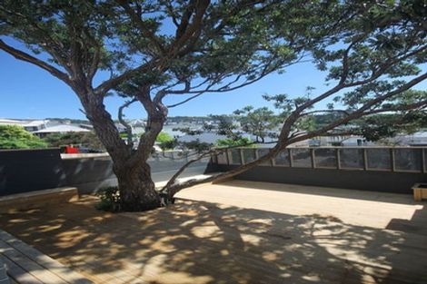 Photo of property in 44 Thompson Street, Mount Cook, Wellington, 6011