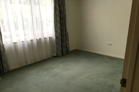 Photo of property in 17 Craig Place, Bridge Hill, Alexandra, 9320