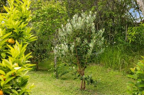 Photo of property in 217 Rocky Cutting Road, Waitao, Tauranga, 3175