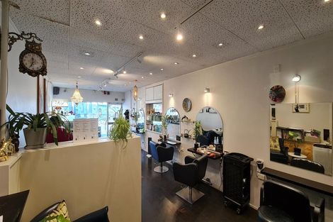 Photo of property in 2/59 Cambridge Terrace, Te Aro, Wellington, 6011