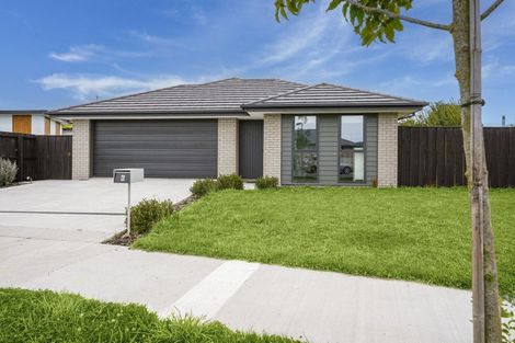 Photo of property in 6 Cleaver Street, Woodend, 7610