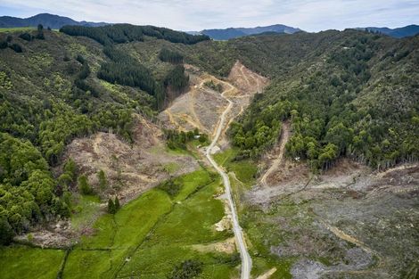 Photo of property in 12 Jane Mander Rise, Blue Mountains, 5371