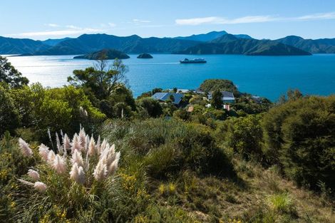 Photo of property in 318 Port Underwood Road, Whatamango Bay, Picton, 7281