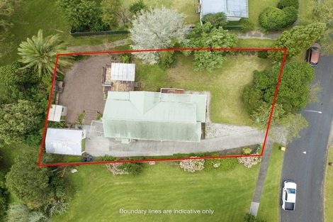 Photo of property in 35 Moloney Terrace, Pukekohe, 2120