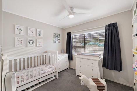 Photo of property in 98 Coopers Road, Gate Pa, Tauranga, 3112