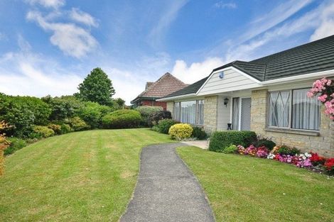 Photo of property in 3 Mcmeekan Avenue, Chartwell, Hamilton, 3210