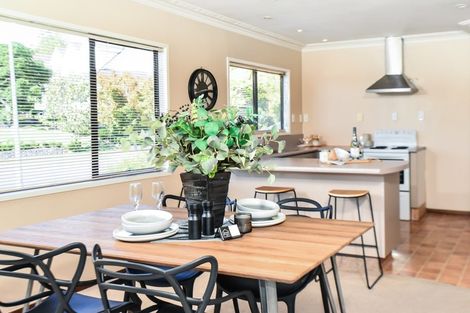 Photo of property in 40 Mcmeekan Avenue, Chartwell, Hamilton, 3210