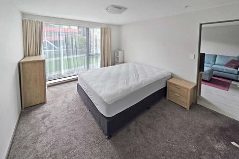 Photo of property in Dual Apartments, 208/142u Vivian Street, Te Aro, Wellington, 6011