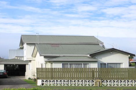 Photo of property in 28 Napier Road, Terrace End, Palmerston North, 4410