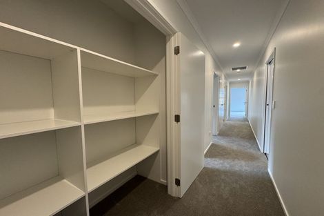 Photo of property in 113 Warrington Street, Mairehau, Christchurch, 8013