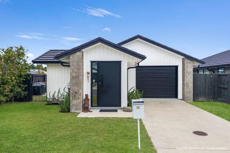 Photo of property in 12 Fontana Street, Papamoa, 3118