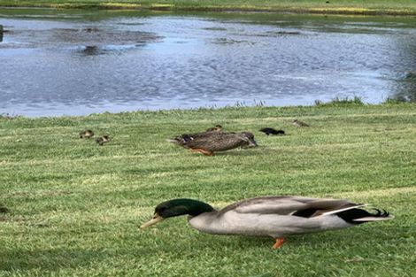 Photo of property in 8 Higgins Street, Marewa, Napier, 4110