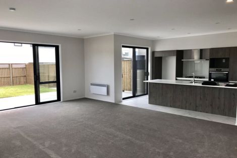 Photo of property in 26 Sidney Wallingford Way, Hobsonville, Auckland, 0616