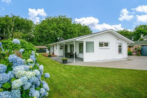 Photo of property in 100 Hall Street, Cambridge, 3434