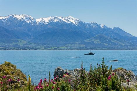 Photo of property in 1481x State Highway 1, Mangamaunu, Kaikoura, 7371
