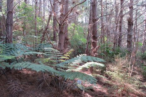 Photo of property in 154 Wood Road, Colville, Coromandel, 3584