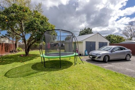Photo of property in 9 Ferguson Street, Levin, 5510