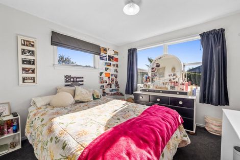 Photo of property in 58 Grove Street, Tinwald, Ashburton, 7700