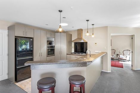 Photo of property in 10 Chanel Place, Prebbleton, 7604