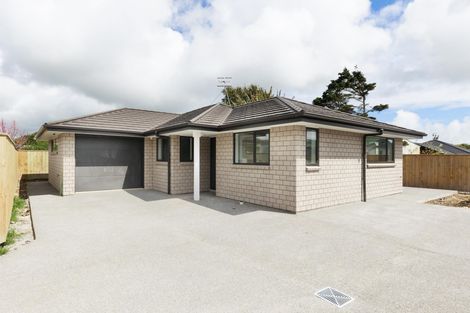 Photo of property in 17 Winchester Street, Levin, 5510