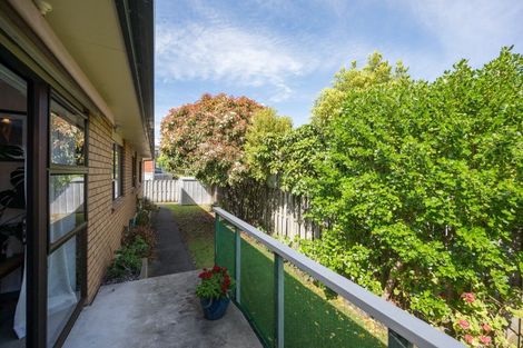 Photo of property in 65 Halifax Street East, The Wood, Nelson, 7010