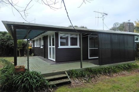 Photo of property in 110 Reservoir Street, Putaruru, 3411