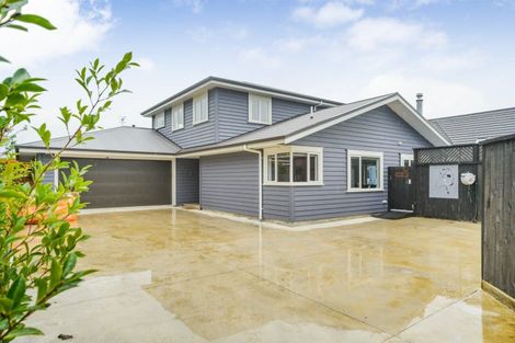 Photo of property in 47 Karina Terrace, Roslyn, Palmerston North, 4414