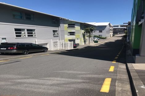 Photo of property in Drummond Street Flats, 25/19u Drummond Street, Mount Cook, Wellington, 6021