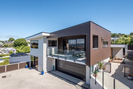 Photo of property in 5 Havelock Street, Mornington, Dunedin, 9011
