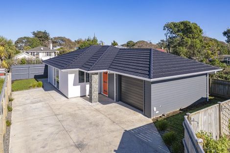 Photo of property in 74a Portal Street, Durie Hill, Wanganui, 4500