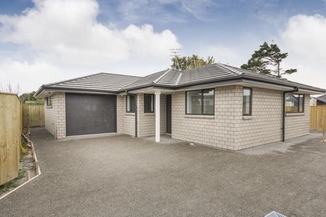 Photo of property in 17 Winchester Street, Levin, 5510