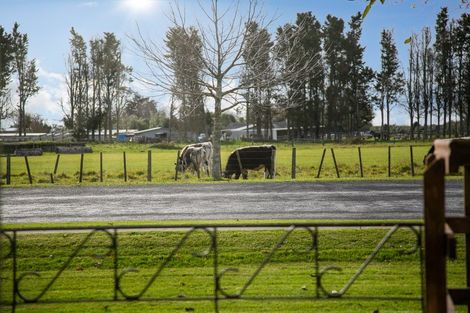 Photo of property in 38 Taylor Street, Cambridge, 3434