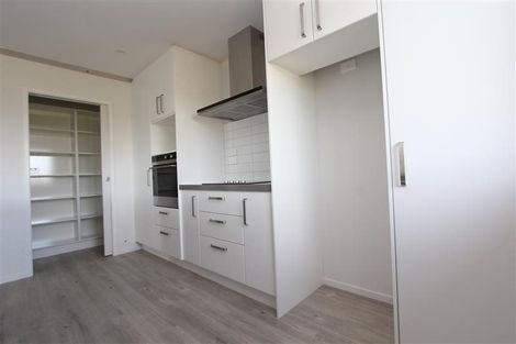 Photo of property in 45 Lulu Avenue, Chartwell, Hamilton, 3210