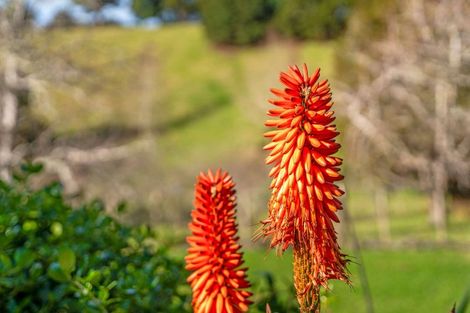 Photo of property in 763 Owhiwa Road, Parua Bay, Onerahi, 0192