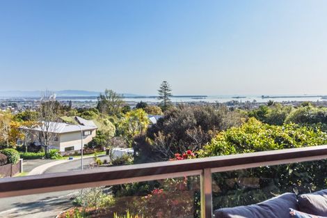 Photo of property in 12 George Kidd Street, Richmond, 7020