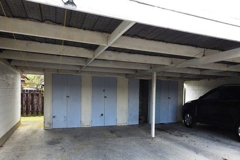 Photo of property in 245u1 Ulster Street, Whitiora, Hamilton, 3200