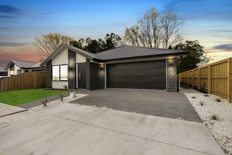 Photo of property in 73 Henshaw Street, Woodend, 7610