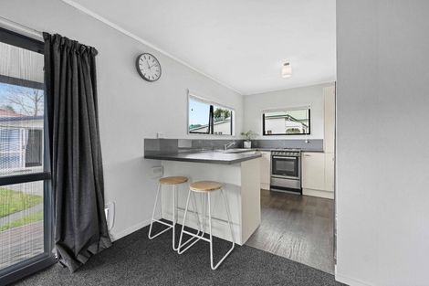 Photo of property in 30 Graham Street, Hamilton East, Hamilton, 3216