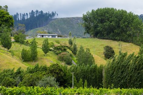 Photo of property in 909a Wharekopae Road, Ngatapa, Gisborne, 4072