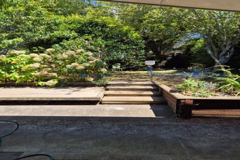 Photo of property in 6 Totara Grove, Hillcrest, Auckland, 0627