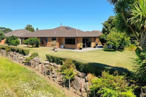 Photo of property in 38 Kereru Place, Pyes Pa, Tauranga, 3112