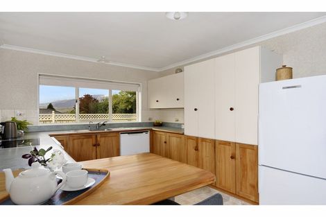 Photo of property in 3 Lorimer Lane, Richmond, 7020