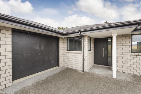 Photo of property in 17 Winchester Street, Levin, 5510