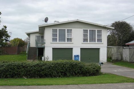 Photo of property in 4 Graham Street, Levin, 5510