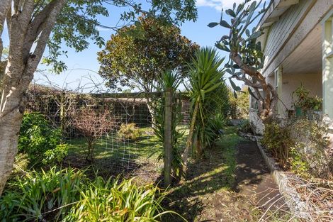 Photo of property in 105 Brecon Road, Stratford, 4332