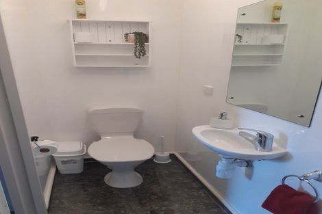 Photo of property in 37 Hope Street, Dunedin Central, Dunedin, 9016