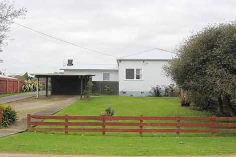 Photo of property in 6 Graham Street, Levin, 5510