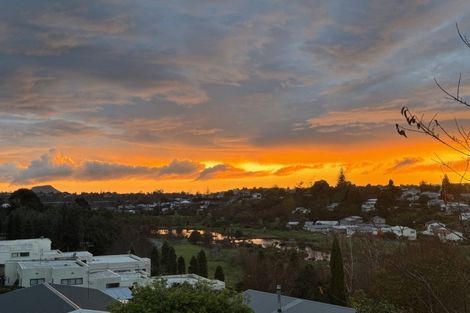 Photo of property in 98 Coopers Road, Gate Pa, Tauranga, 3112